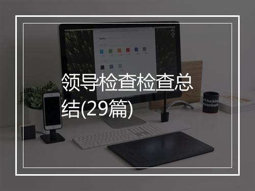 领导检查检查总结(29篇)