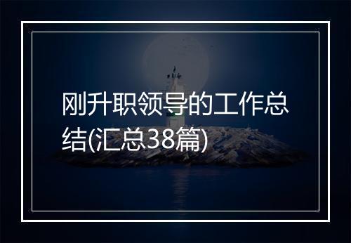 刚升职领导的工作总结(汇总38篇)