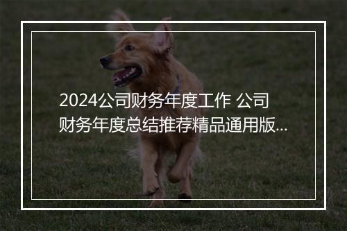 2024公司财务年度工作 公司财务年度总结推荐精品通用版10篇