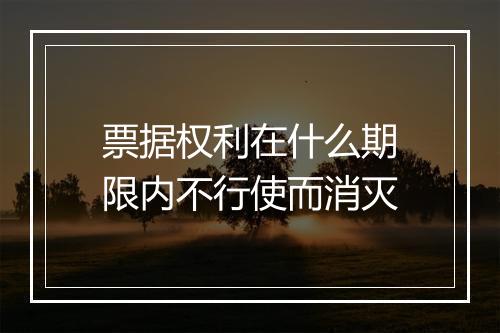 票据权利在什么期限内不行使而消灭