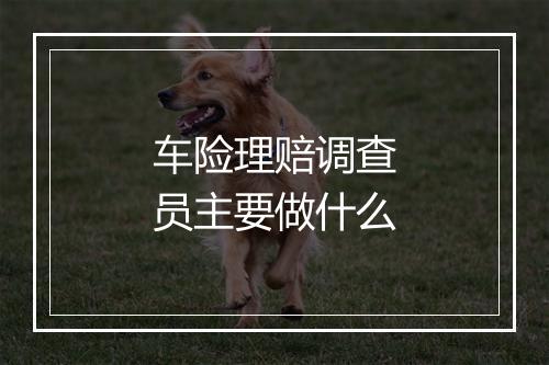车险理赔调查员主要做什么