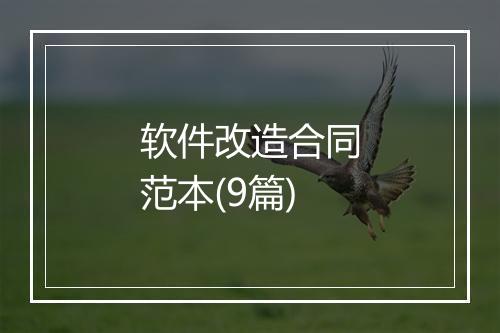 软件改造合同范本(9篇)