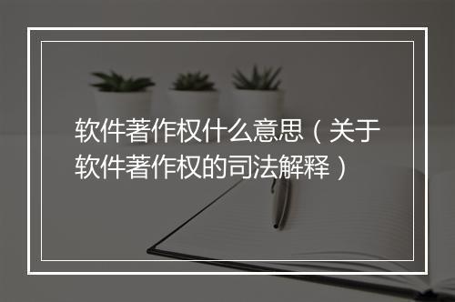 软件著作权什么意思（关于软件著作权的司法解释）