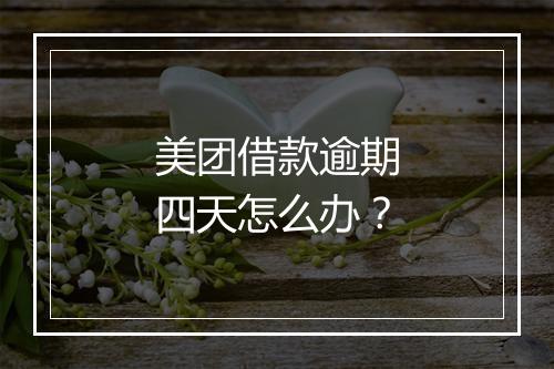 美团借款逾期四天怎么办？