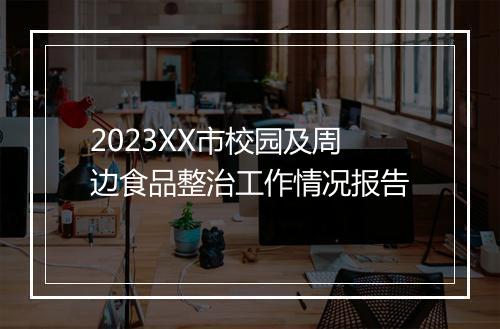 2023XX市校园及周边食品整治工作情况报告