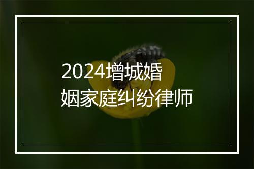 2024增城婚姻家庭纠纷律师
