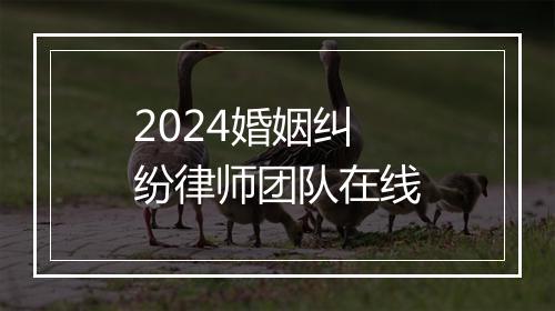 2024婚姻纠纷律师团队在线