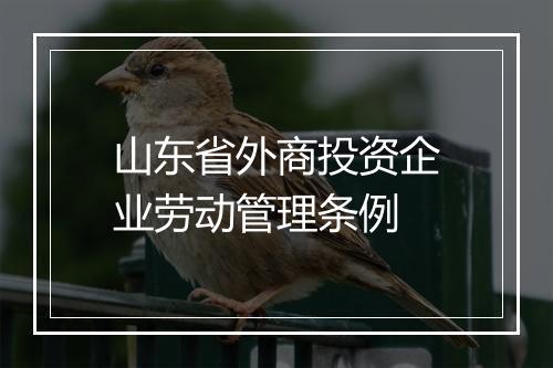 山东省外商投资企业劳动管理条例
