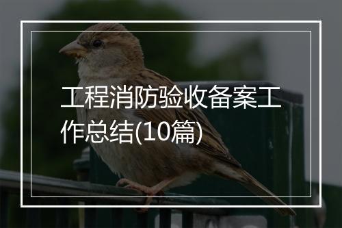 工程消防验收备案工作总结(10篇)