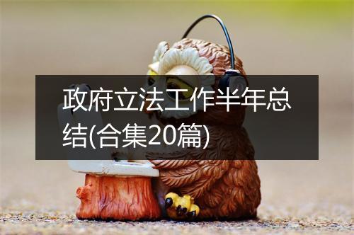 政府立法工作半年总结(合集20篇)