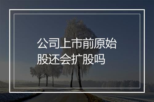 公司上市前原始股还会扩股吗