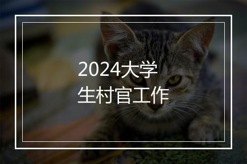 2024大学生村官工作