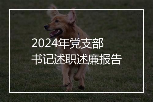 2024年党支部书记述职述廉报告