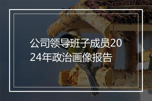 公司领导班子成员2024年政治画像报告