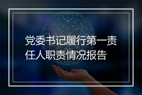 党委书记履行第一责任人职责情况报告
