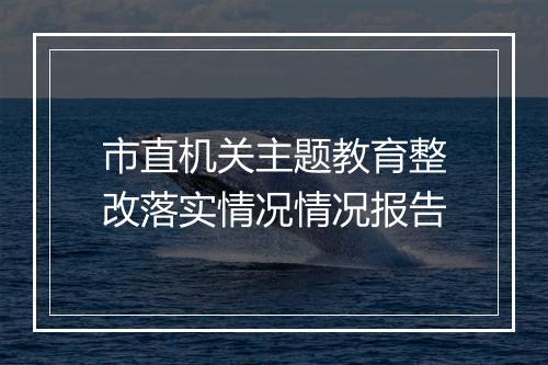 市直机关主题教育整改落实情况情况报告