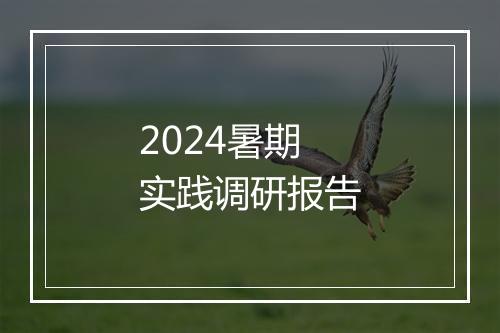 2024暑期实践调研报告