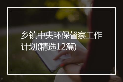 乡镇中央环保督察工作计划(精选12篇)