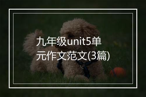 九年级unit5单元作文范文(3篇)