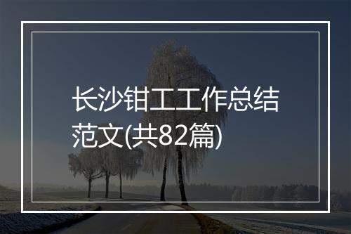 长沙钳工工作总结范文(共82篇)