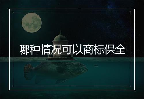 哪种情况可以商标保全
