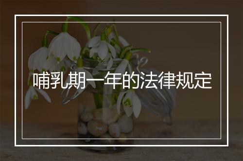 哺乳期一年的法律规定