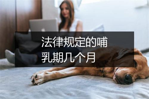 法律规定的哺乳期几个月
