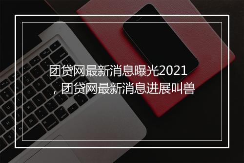 团贷网最新消息曝光2021，团贷网最新消息进展叫兽