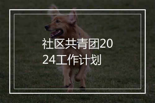 社区共青团2024工作计划