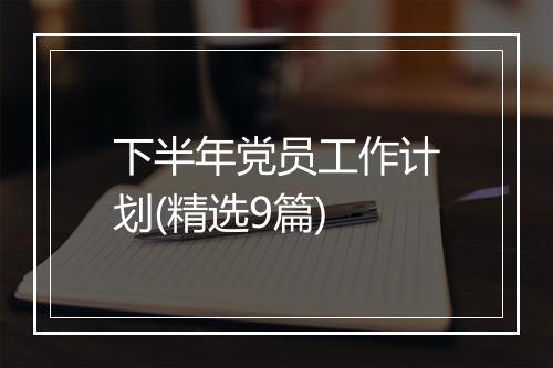下半年党员工作计划(精选9篇)