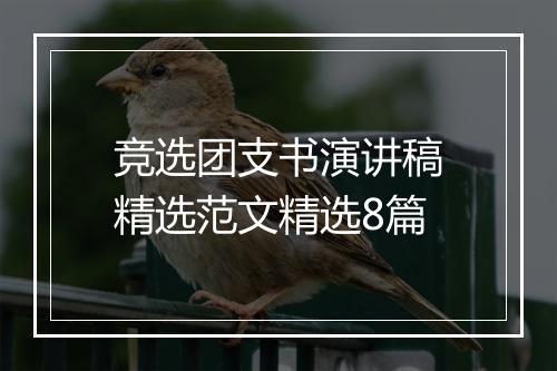 竞选团支书演讲稿精选范文精选8篇