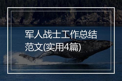 军人战士工作总结范文(实用4篇)