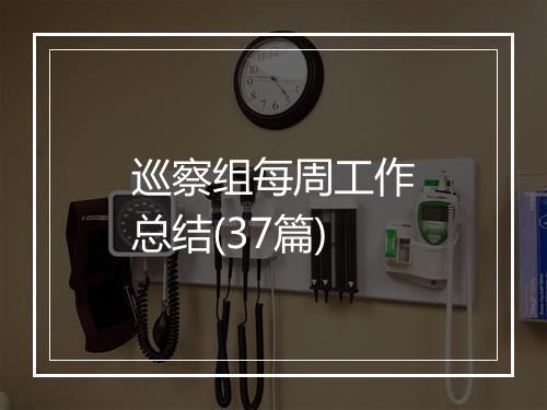 巡察组每周工作总结(37篇)