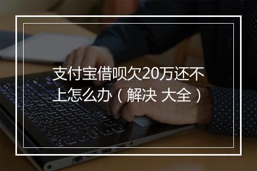 支付宝借呗欠20万还不上怎么办（解决 大全）
