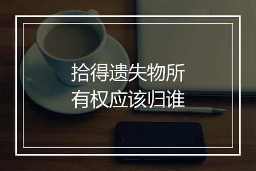 拾得遗失物所有权应该归谁