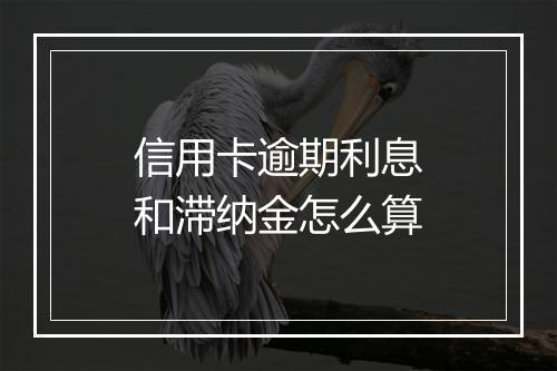 信用卡逾期利息和滞纳金怎么算
