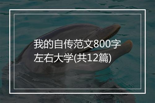 我的自传范文800字左右大学(共12篇)