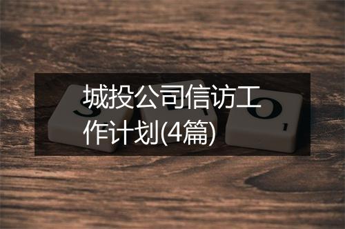 城投公司信访工作计划(4篇)
