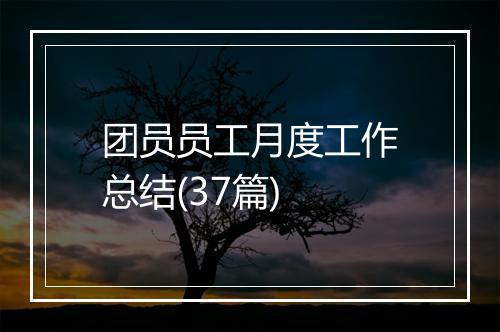 团员员工月度工作总结(37篇)