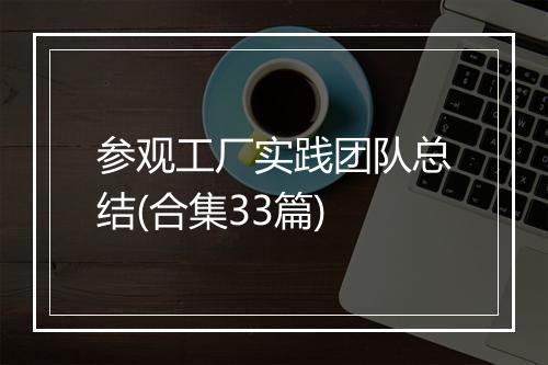 参观工厂实践团队总结(合集33篇)