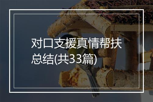 对口支援真情帮扶总结(共33篇)
