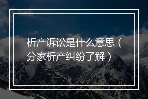 析产诉讼是什么意思（分家析产纠纷了解）