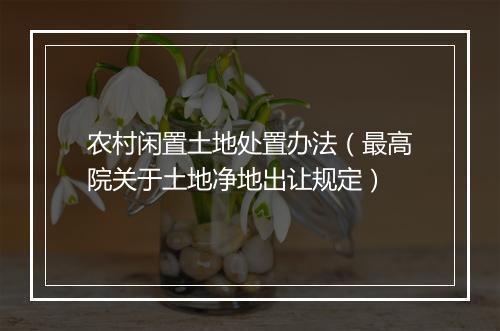 农村闲置土地处置办法（最高院关于土地净地出让规定）