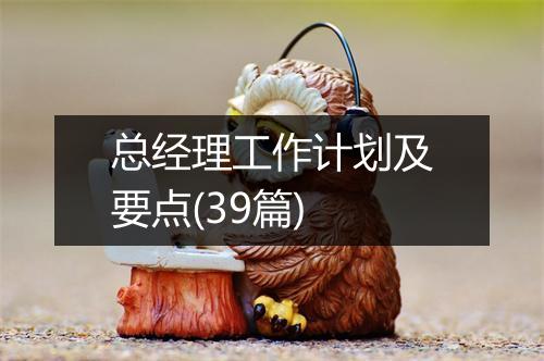 总经理工作计划及要点(39篇)