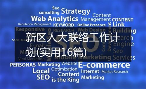新区人大联络工作计划(实用16篇)