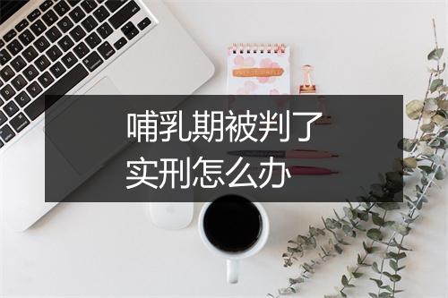哺乳期被判了实刑怎么办