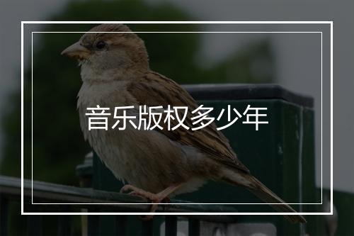 音乐版权多少年