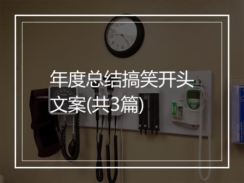 年度总结搞笑开头文案(共3篇)