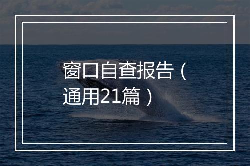 窗口自查报告（通用21篇）