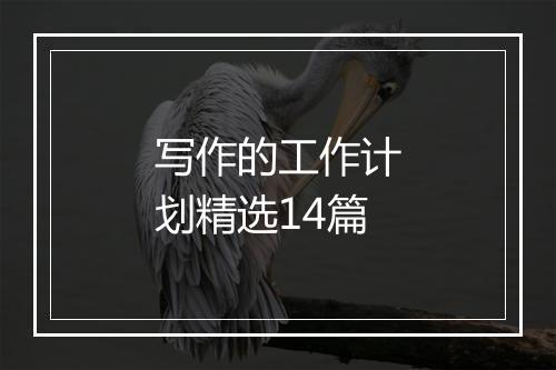 写作的工作计划精选14篇